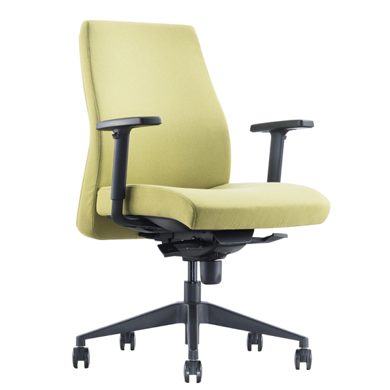 Austin Low Back Executive
