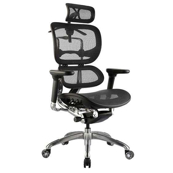 Ergo1