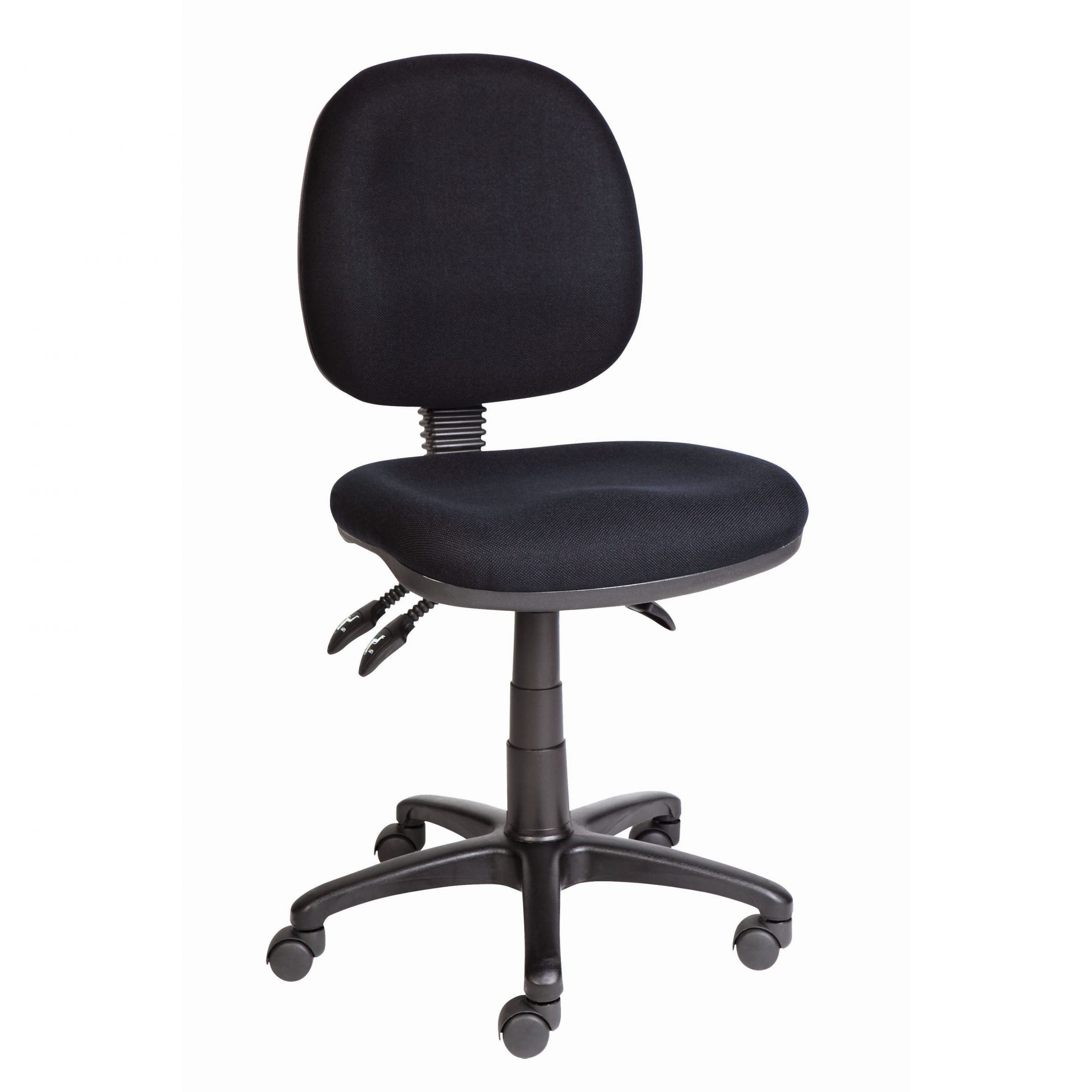Ergo Low Back Task