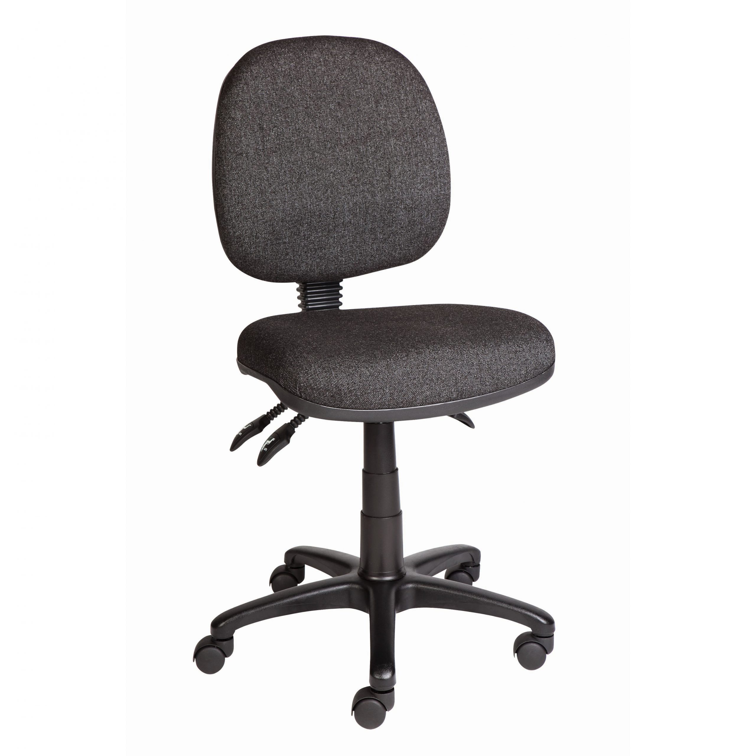 Ergo Low Back Task