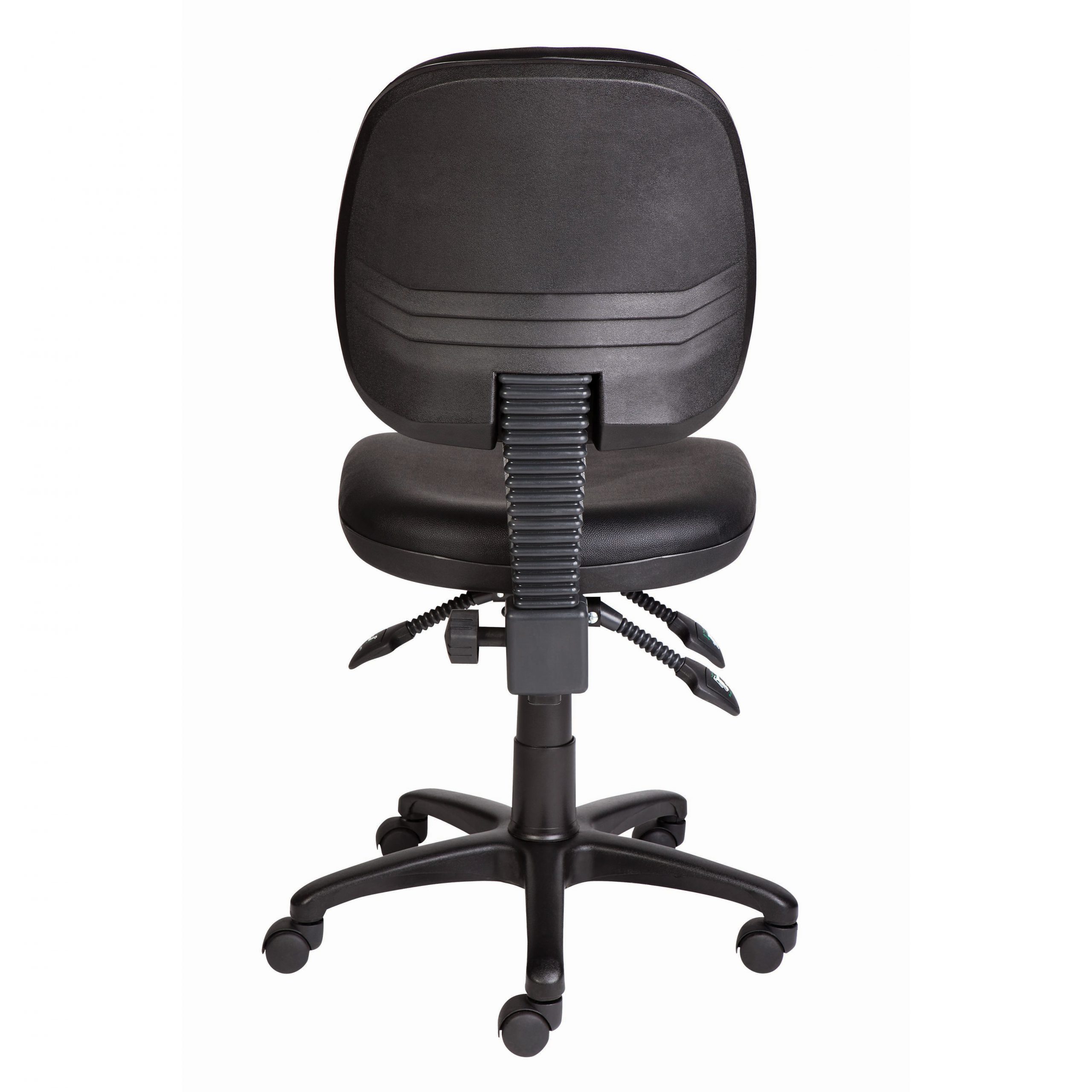 Ergo Low Back Task