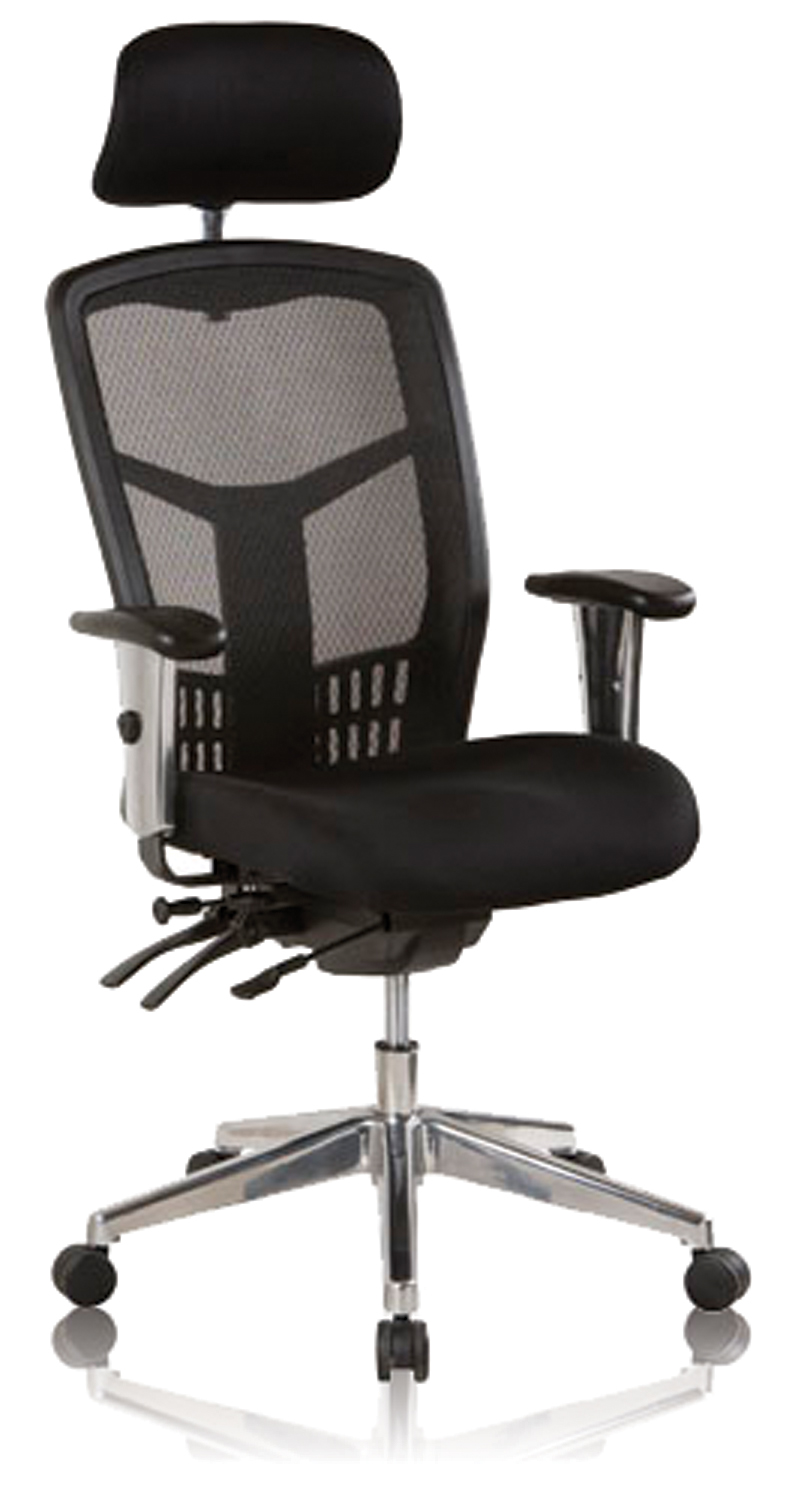 Oyster High Back Task Chair