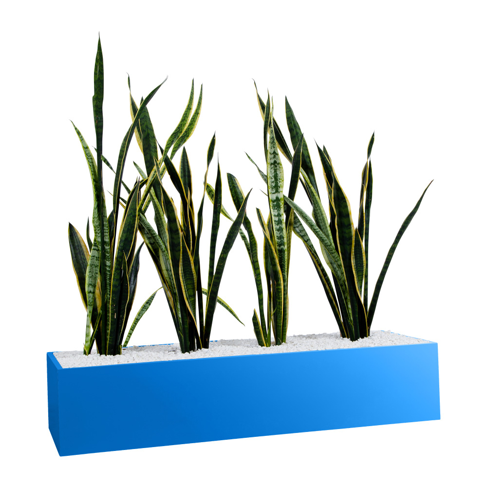 Planters