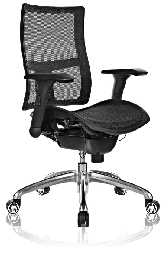 Zodiac Low Back