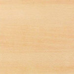 Light Beech