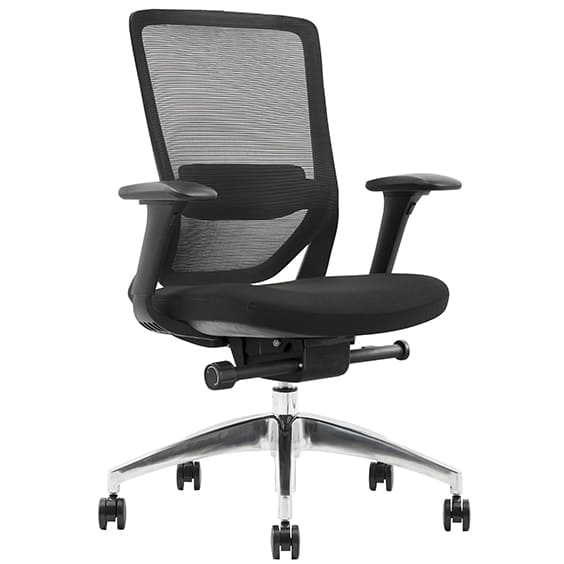 Baxter Low Back Executive