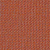 Coral – Capture