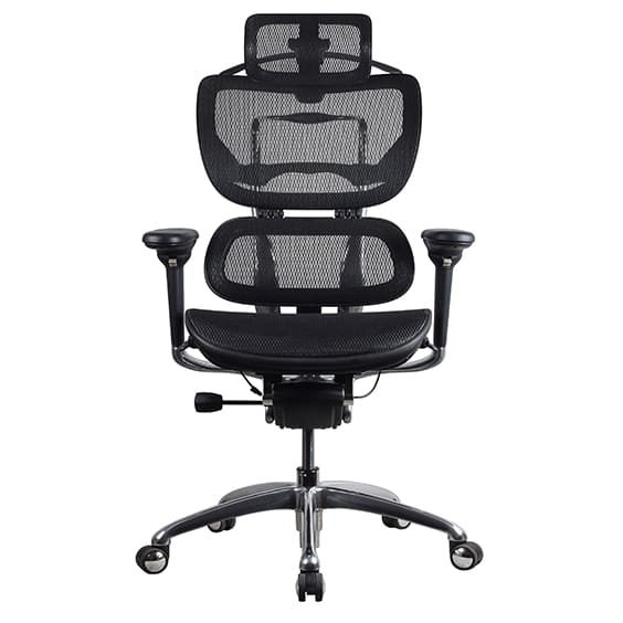 Ergo 1 High Back with Headrest