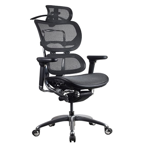 Ergo 1 High Back with Headrest
