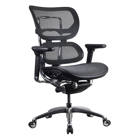 Ergo 1 High Back