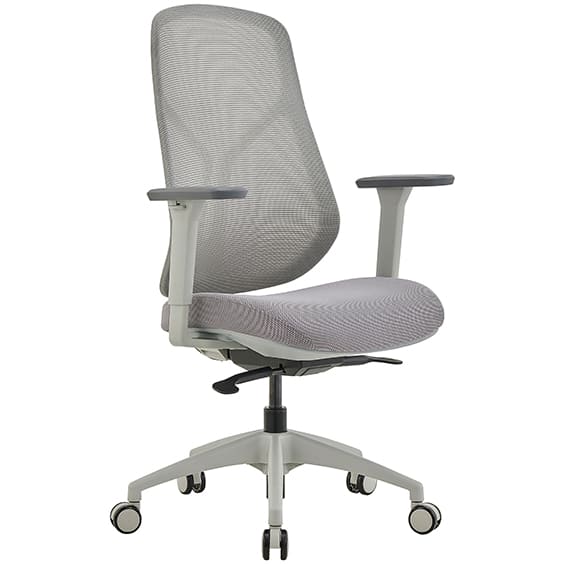 Ivory Low Back