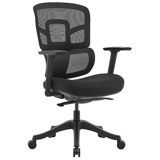 Miamo Low Back