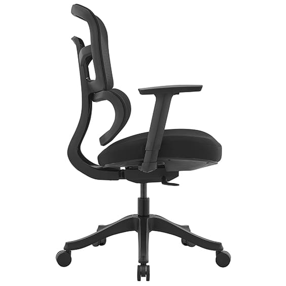 Miamo Low Back