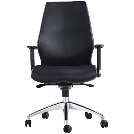 Ohio Low Back Executive
