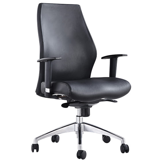 Ohio Low Back Executive