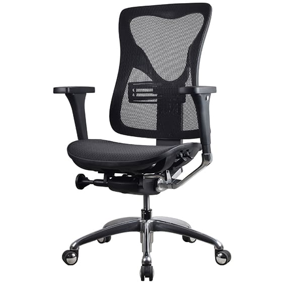 Renata Low Back Executive
