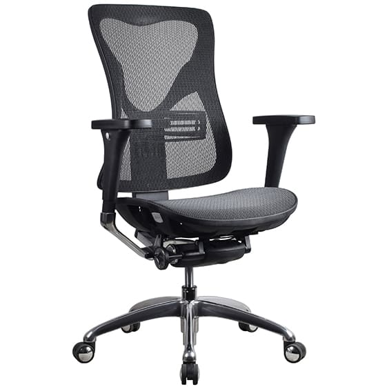 Renata Low Back Executive