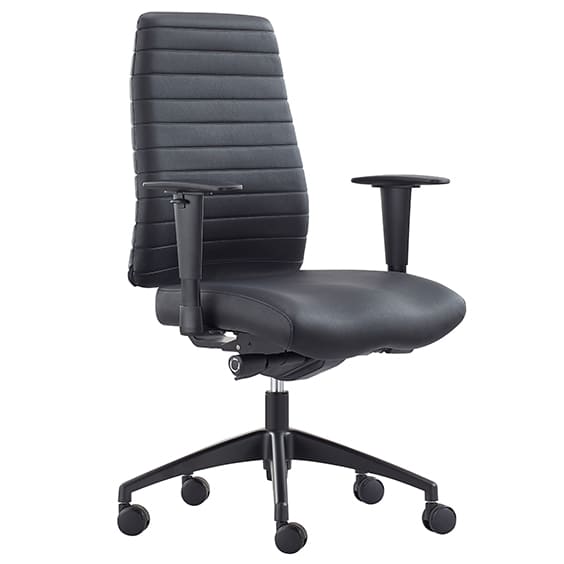Siena Low Back Executive