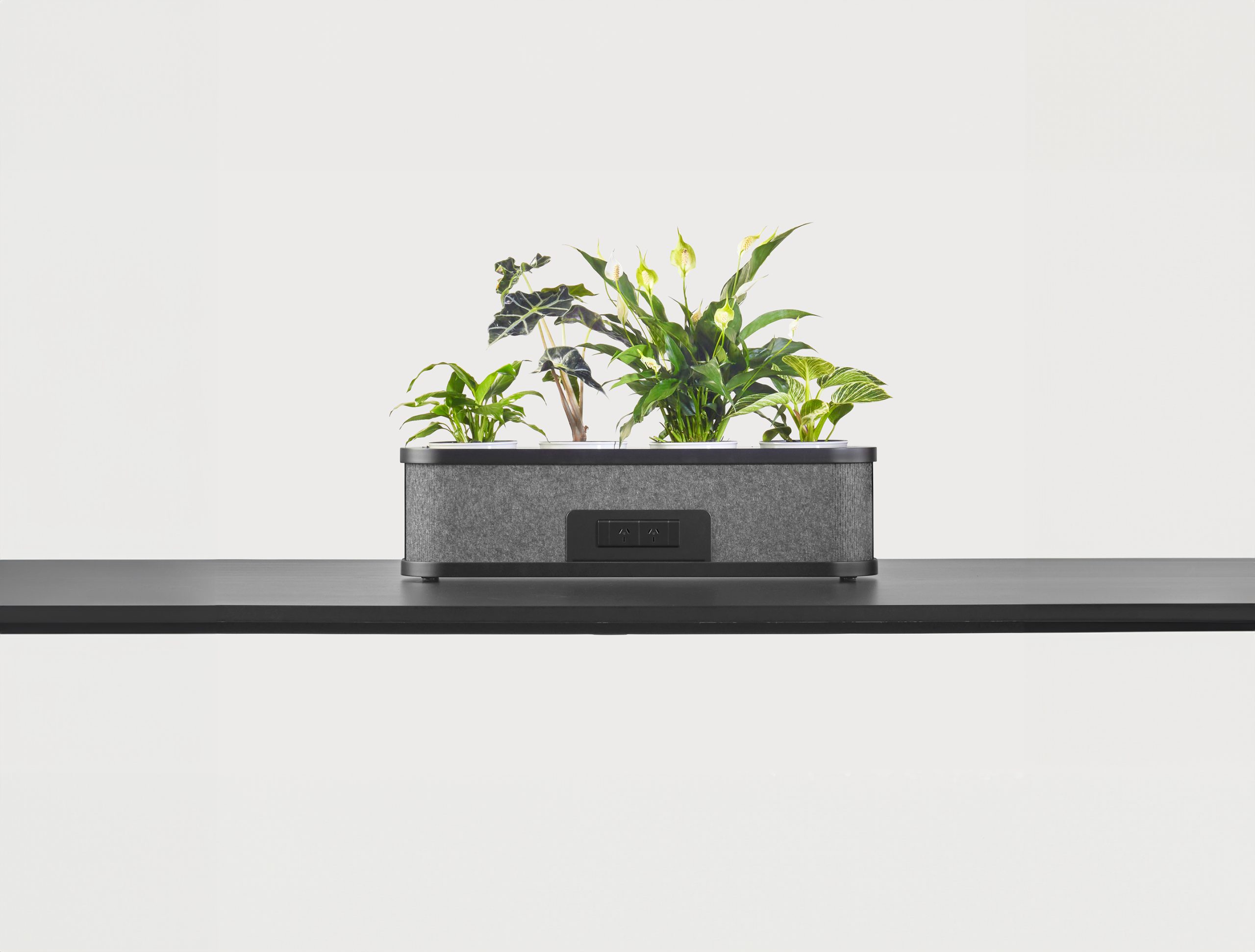 Power Planter