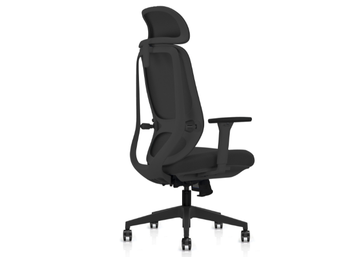 Nova Task Chair + Headrest