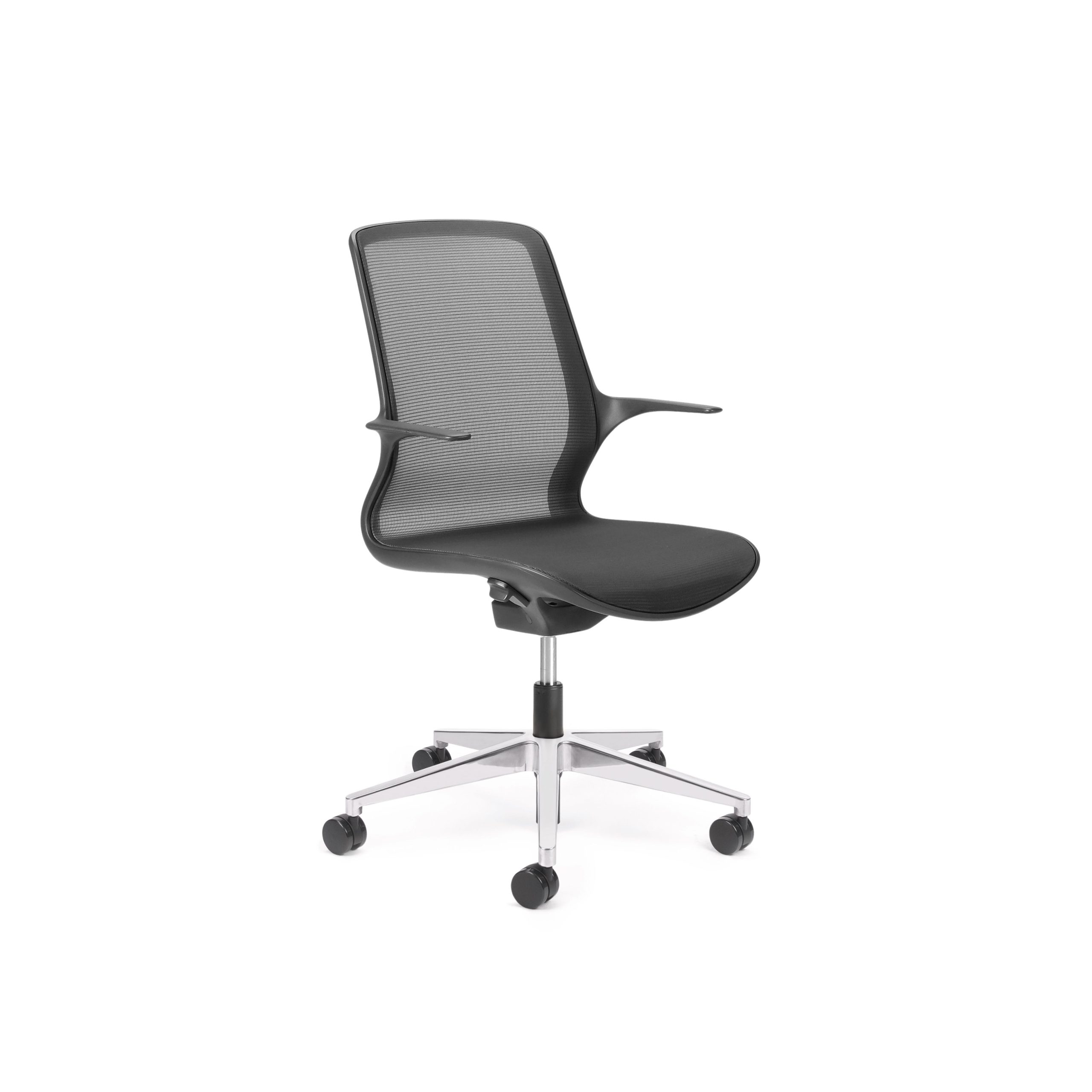 Ovidio Hi-Arch Polished