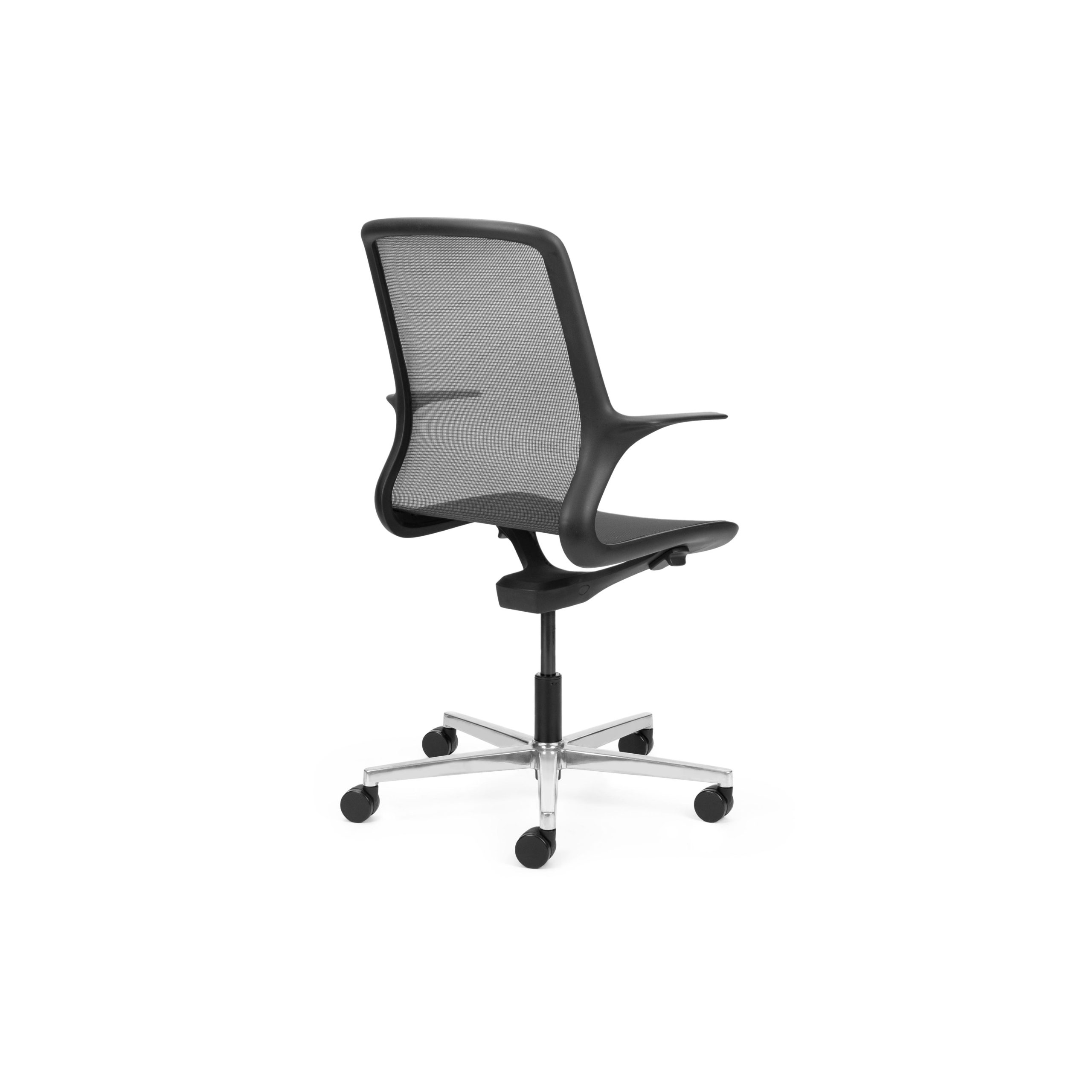 Ovidio Flat-5 Polished
