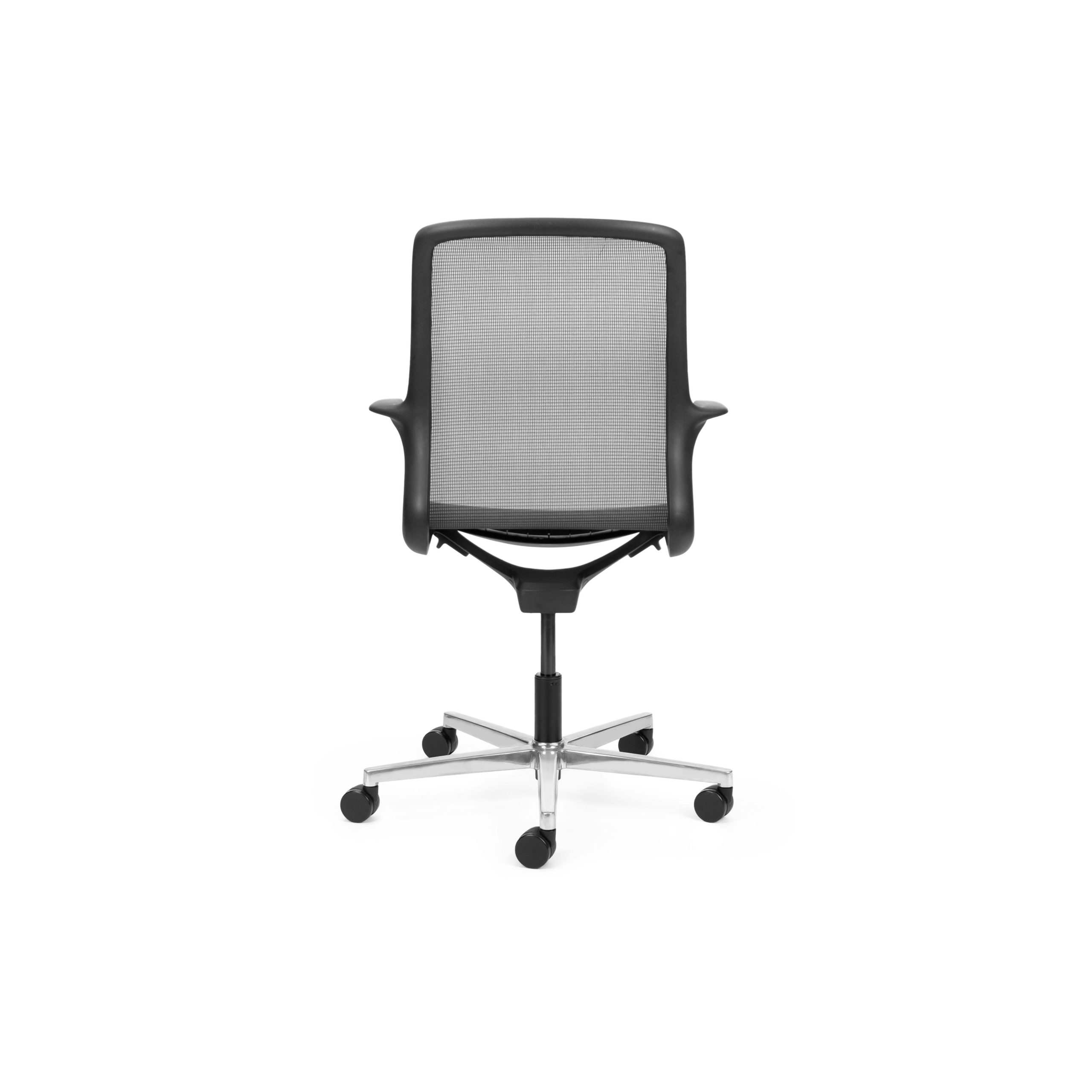 Ovidio Flat-5 Polished