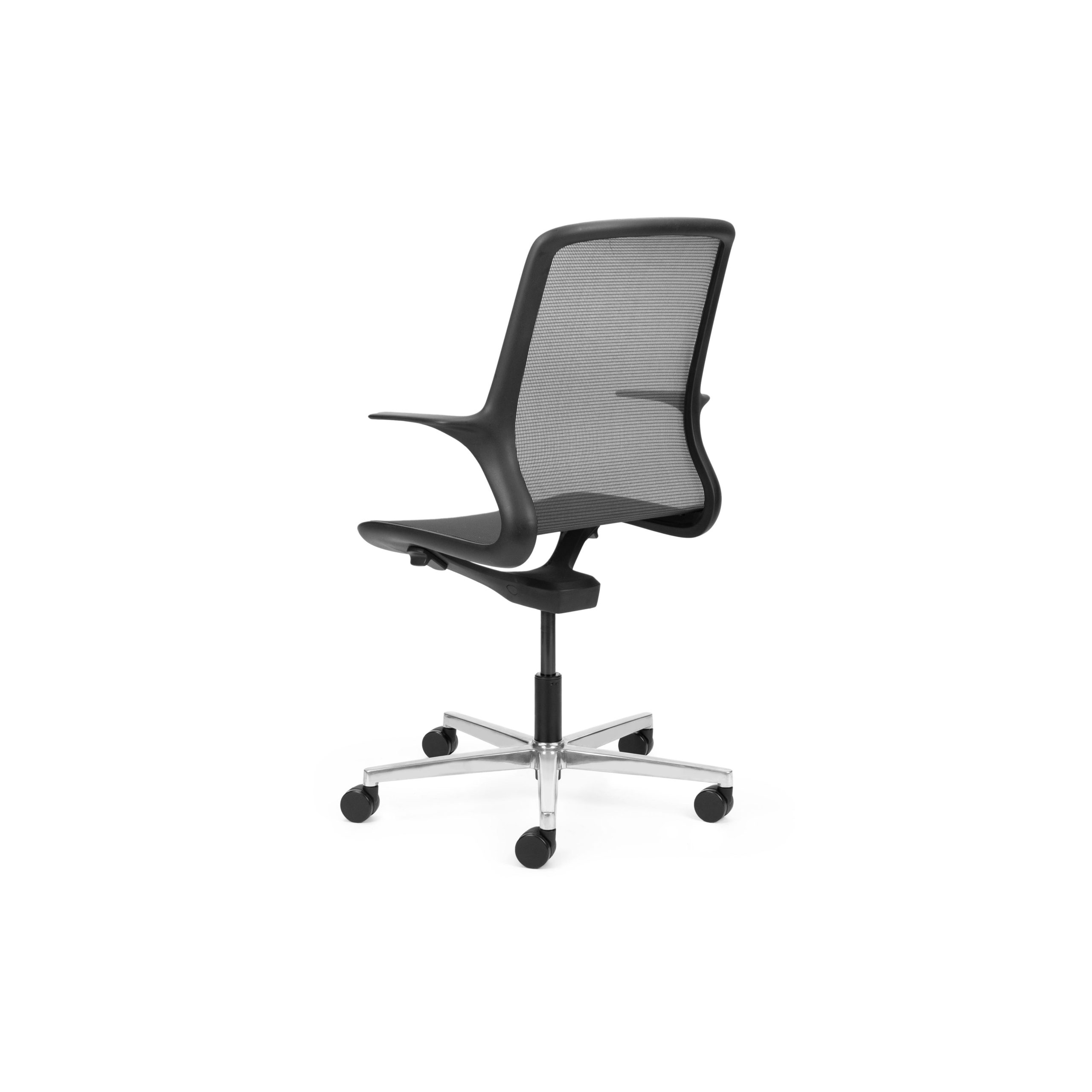 Ovidio Flat-5 Polished
