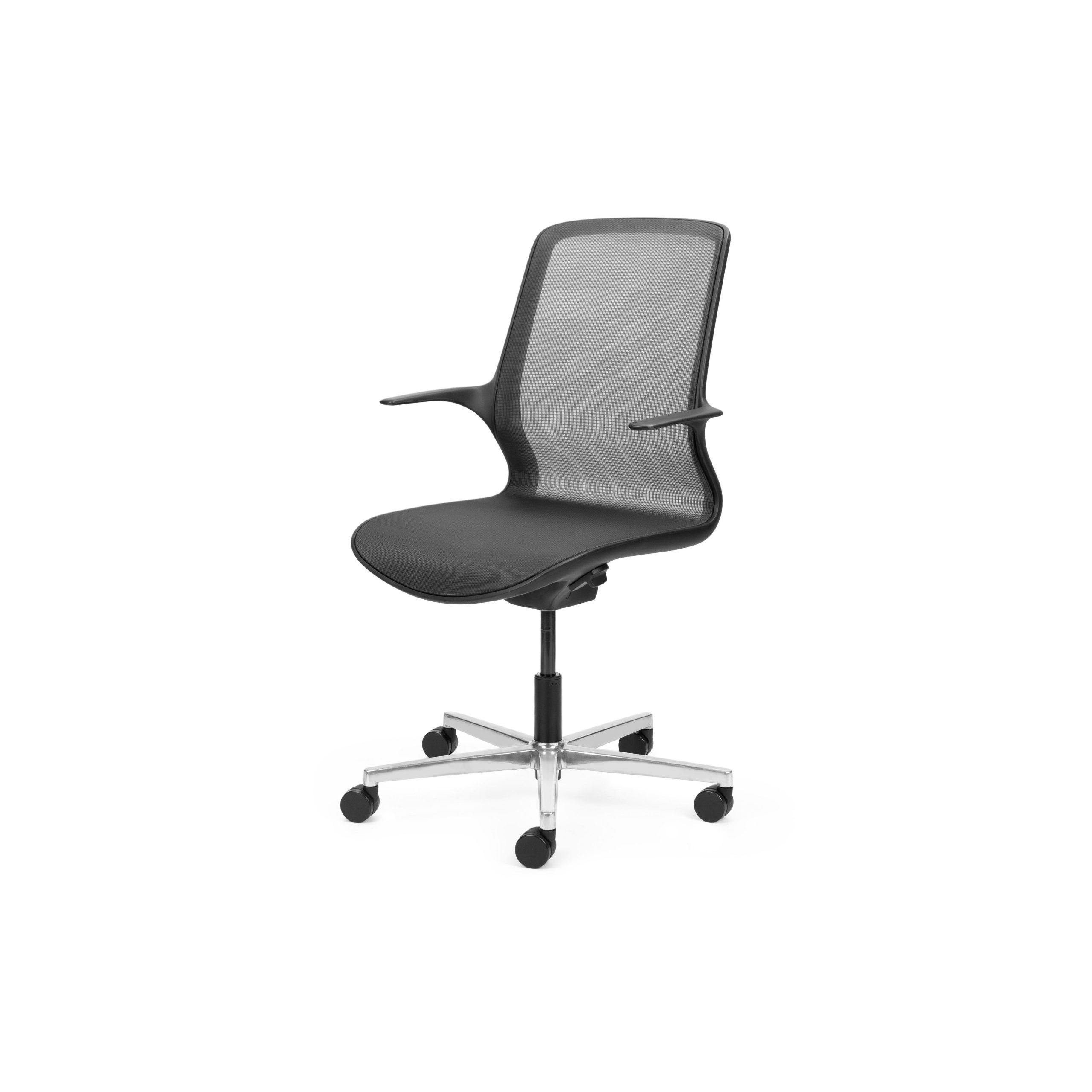 Ovidio Flat-5 Polished