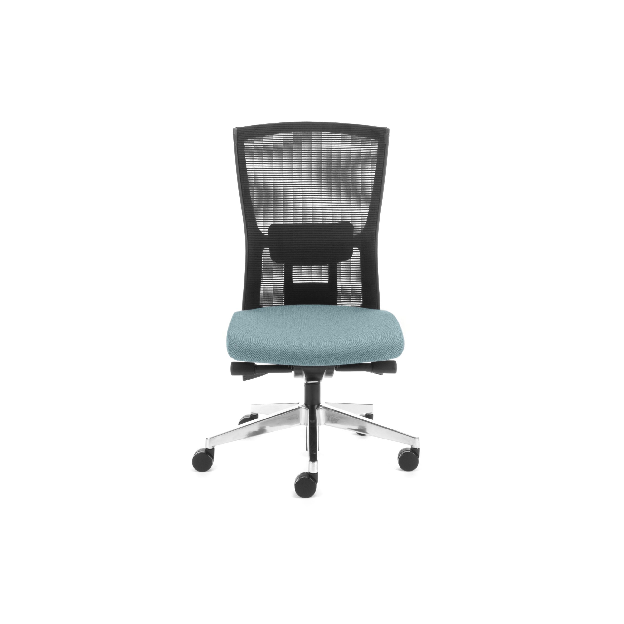 Domino Executive