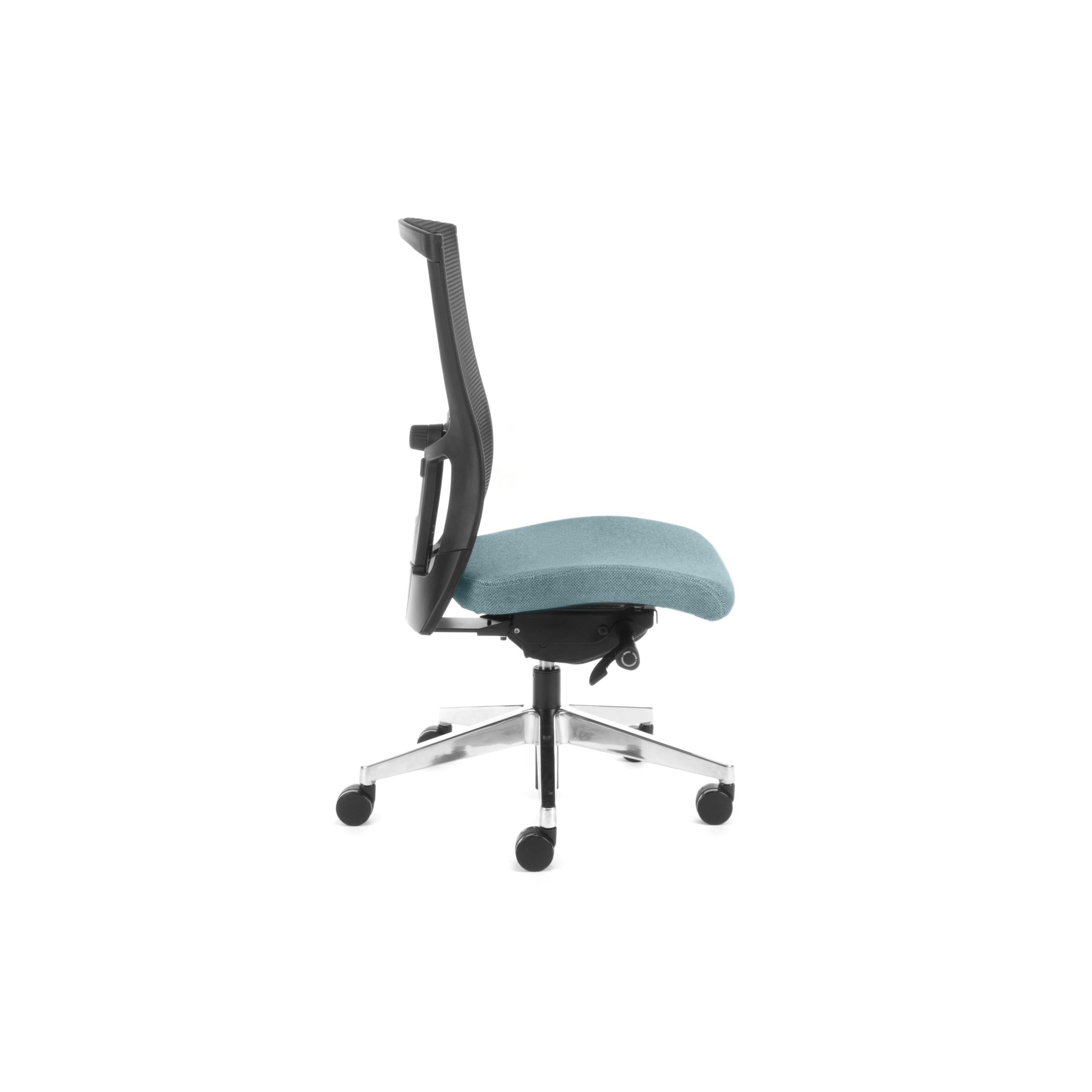 Domino Executive